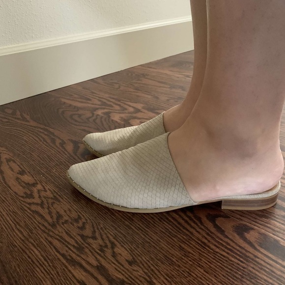 Report mules - Picture 8 of 8